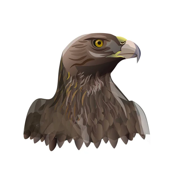 金色の鷲の頭の肖像画 白い背景で隔離のベクトル図 — ストックベクタ