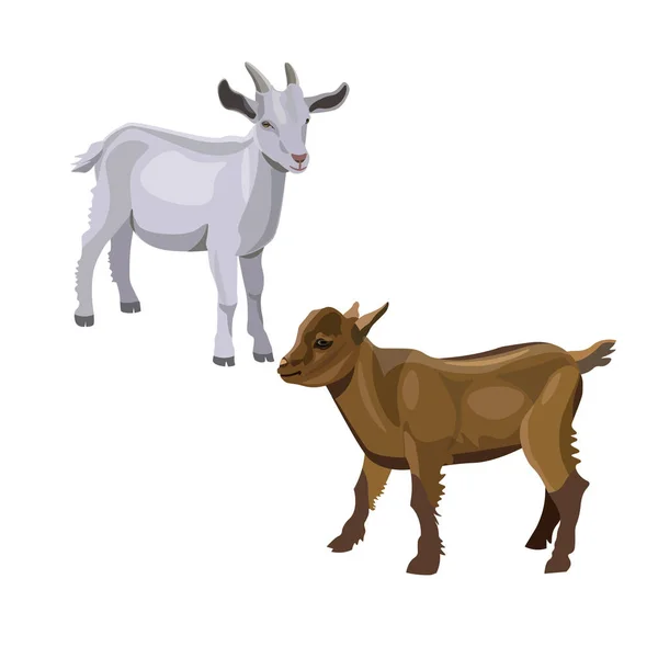 Δύο Goatlings Στέκεται Εικονογράφηση Διάνυσμα Που Απομονώνονται Λευκό Φόντο — Διανυσματικό Αρχείο