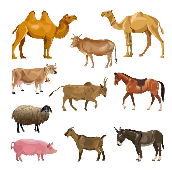 Set of farm animals. Vector illustration isolated on white background