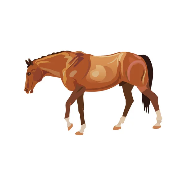 Caballo Errante Rojo Ilustración Vectorial Aislada Sobre Fondo Blanco — Vector de stock