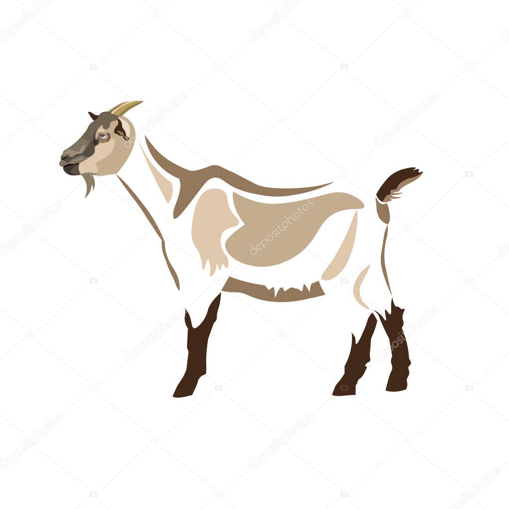 Stylized figure of a goat. Animal design. Vector illustration isolated on white background