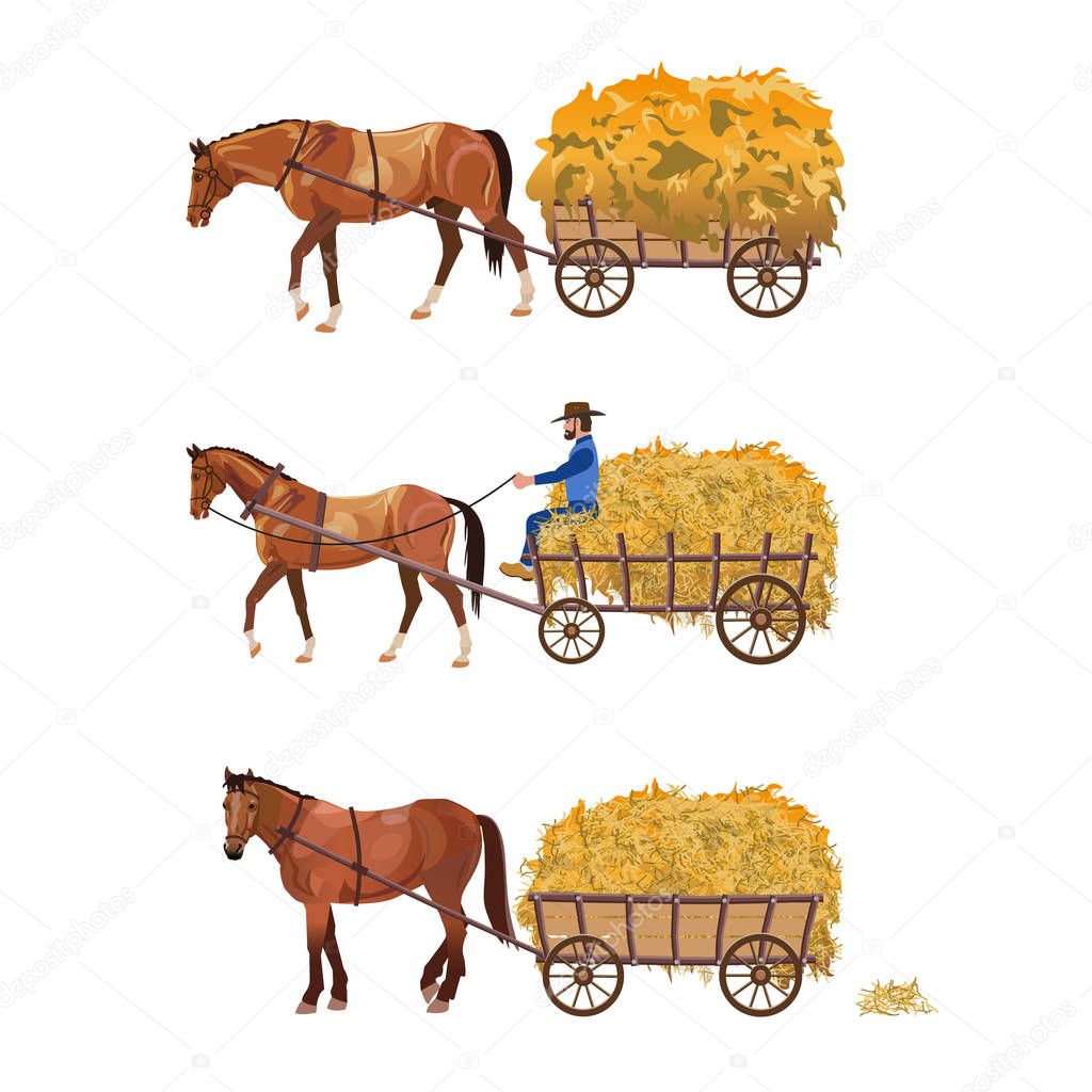 Horse-drawn cart with hay. Set of vector illustration isolated on white background