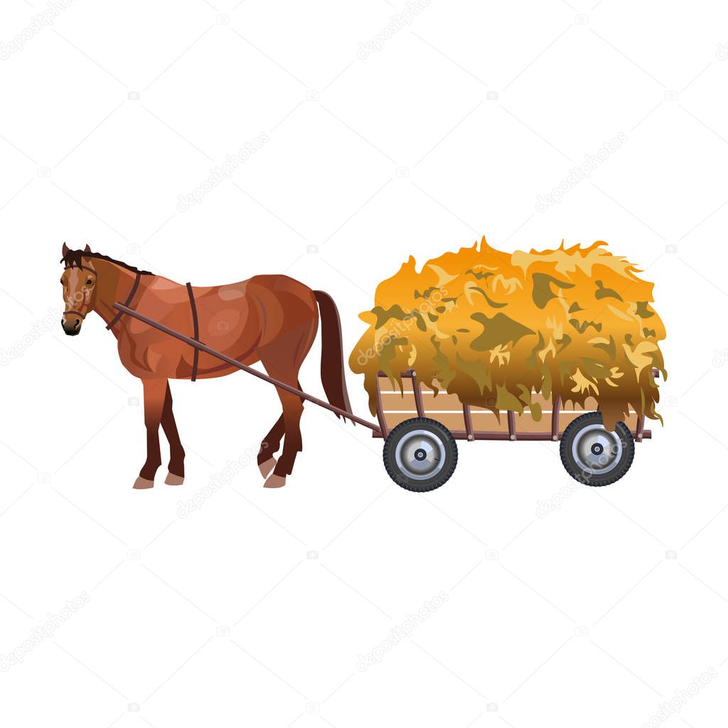 Horse with cart full of hay. Vector illustration isolated on white background