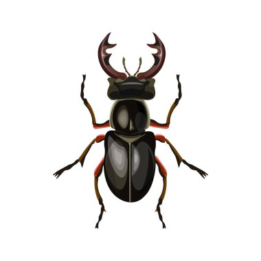 Stag beetle. Beyaz arka plan üzerinde izole vektör çizim
