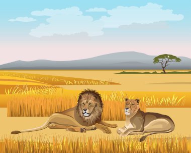 Dişi aslan ve erkek aslan savana Dağları nın arka planı yatıyordu. Vektör çizim