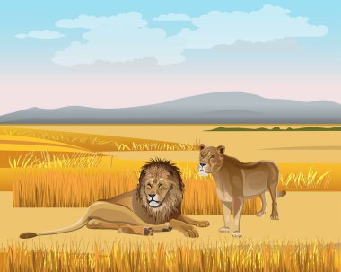 Dişi aslan ve savana arka planı Dağları nın erkek aslan. Vektör çizim