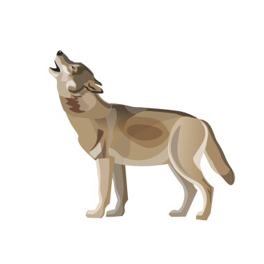 Uluyan gri kereste kurt. Beyaz arka plan üzerinde izole vektör çizim