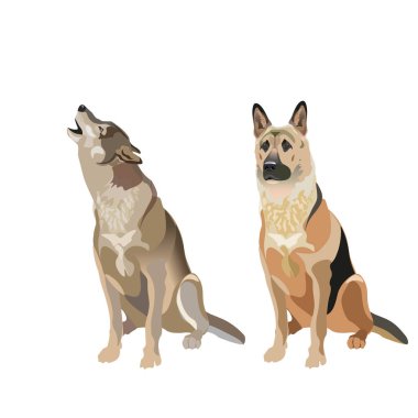 Köpek ve kurt. Beyaz arka plan üzerinde izole vektör çizim