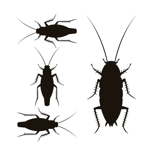 Set Vector Silhouettes Oriental German Cockroaches Illustration Isolated White Background — Stock Vector