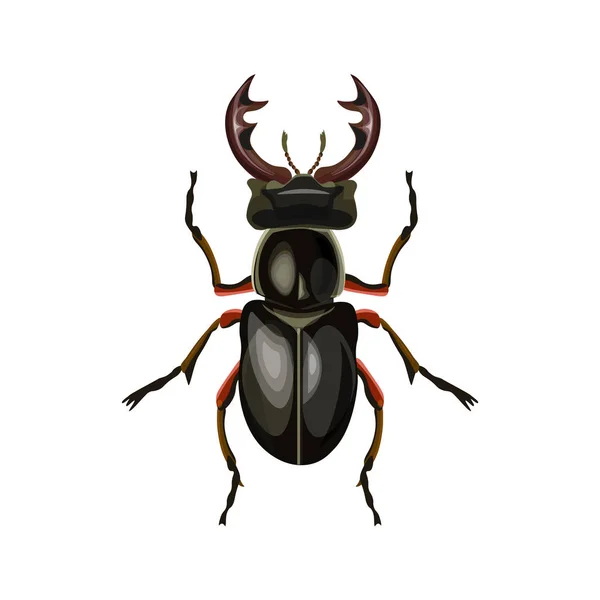 Stag Beetle Vektorové Ilustrace Izolované Bílém Pozadí — Stockový vektor