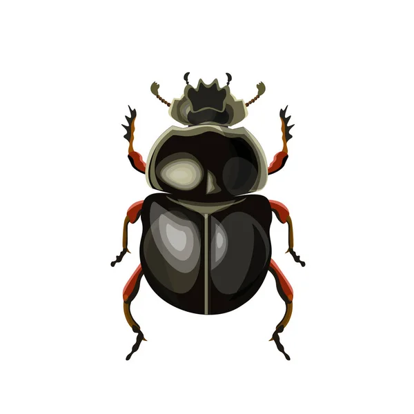 Sacred Scarab Beetle Vector Illustration Isolated White Background — Stock Vector