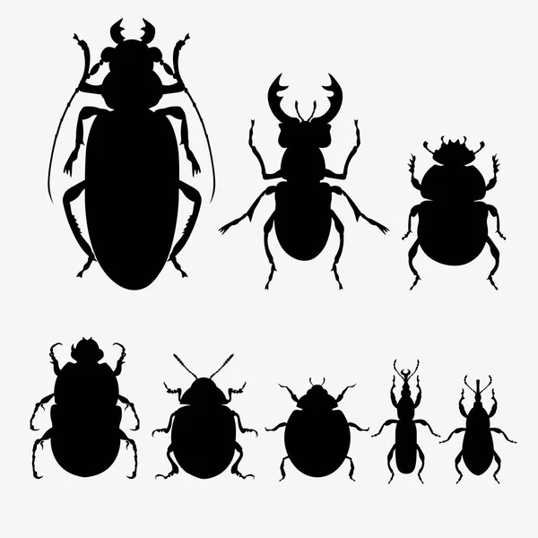 Set Vector Silhouettes Different Beetles Vector Illustration Isolated White Background — Stock Vector