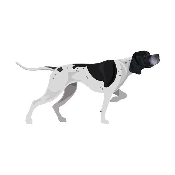 Черно Белый Английский Указатель Порода Пушечных Собак Векторная Иллюстрация Белом — стоковый вектор
