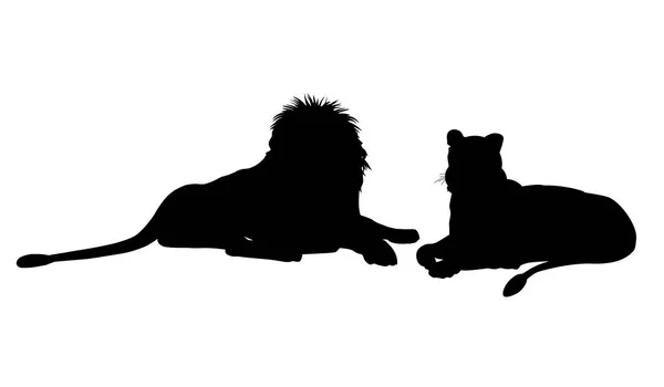 Silhouetten Van Leeuwin Mannetjes Leeuw Liggen Vectorillustratie Geïsoleerd Witte Achtergrond — Stockvector