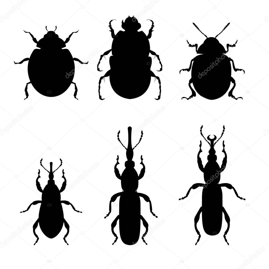 Set of silhouettes of agricultural insect pests. Vector illustration isolated on white background