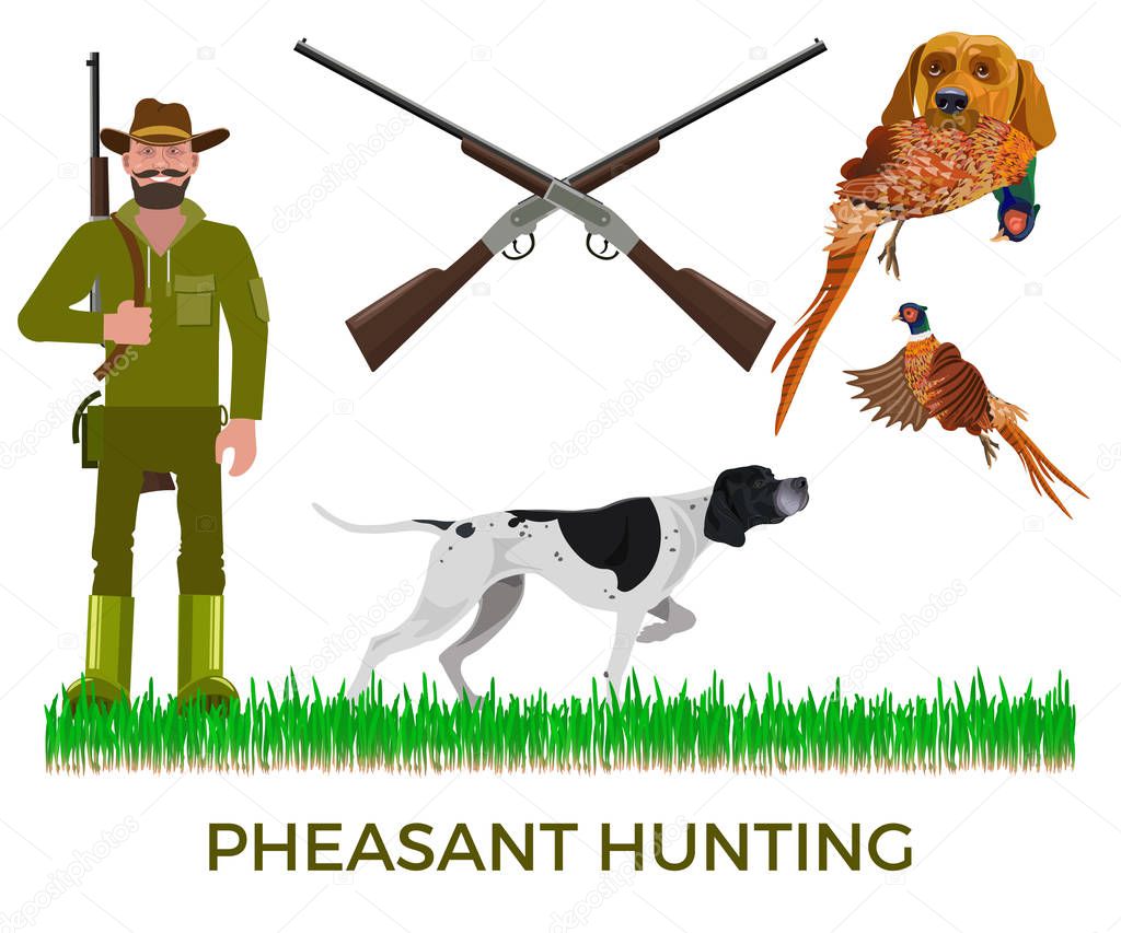 Pheasant hunting set. Vector illustration isolated on the white background