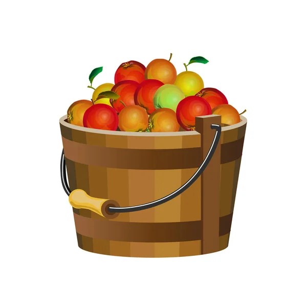 Wooden Bucket Apples Vector Illustration Isolated White — Stock Vector