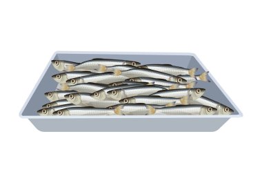 Fresh small fish lies in the tray. Vector illustration isolated on white background clipart