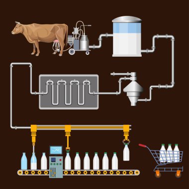 Production stages and processing of milk. Vector illustration isolated on green background clipart