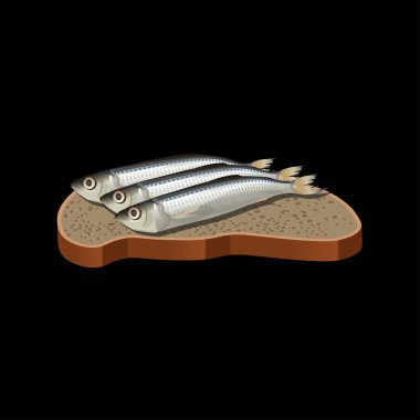 Çaça sandviç. Bir dilim çavdar ekmeği üzerinde tuzlu küçük balık. Siyah arka plan üzerine izole vektör çizim