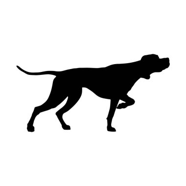 İngiliz pointer silüeti. Silah köpek doğurmak. Beyaz arka plan üzerinde izole vektör çizim