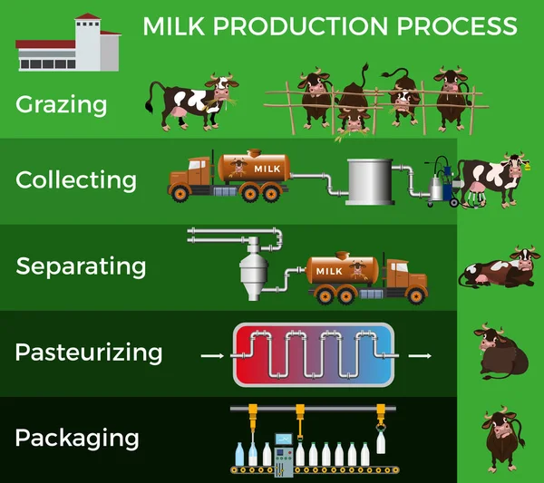 Produktionsstufen Und Verarbeitung Von Milch Vektorabbildung Isoliert Auf Grünem Hintergrund — Stockvektor
