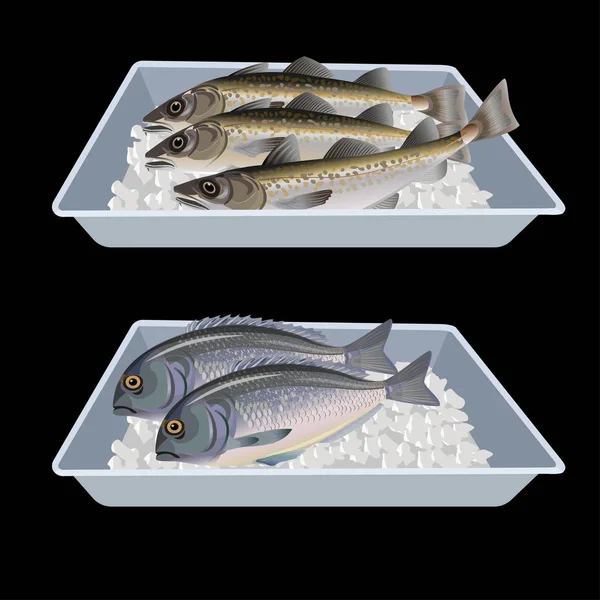 コンテナー ボックスに新鮮な魚 黒い背景に分離したベクトル図 — ストックベクタ