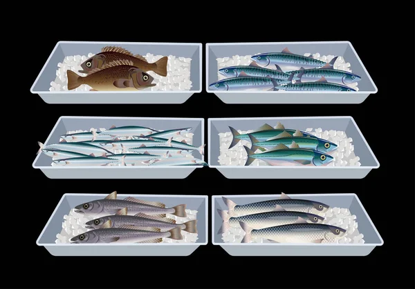 Peixe Fresco Caixas Contentores Ilustração Vetorial Isolada Sobre Fundo Preto —  Vetores de Stock