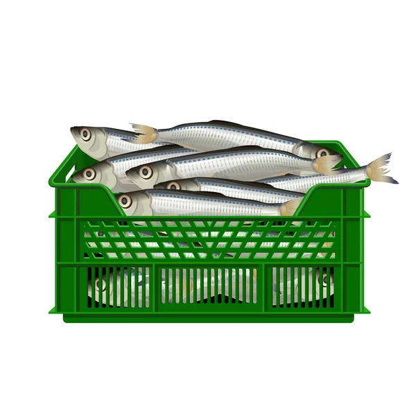 Small Fresh Fish Plastic Crate Vector Illustration — Stock Vector