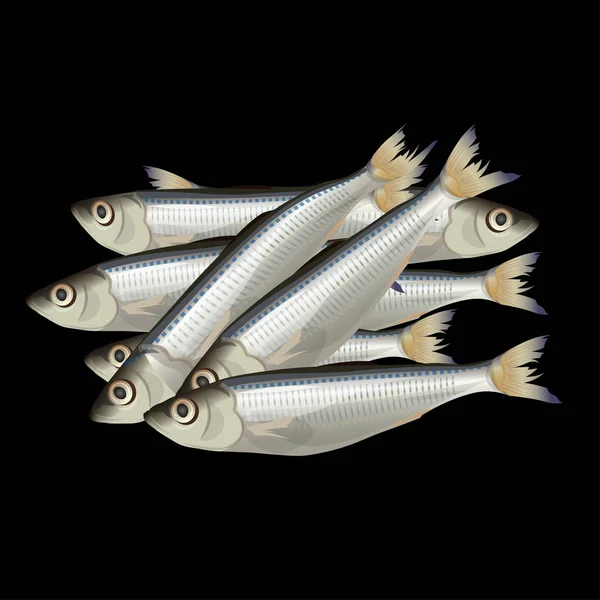 Heap Small Fresh Fish Vector Illustration Isolated Black Background — Stock Vector