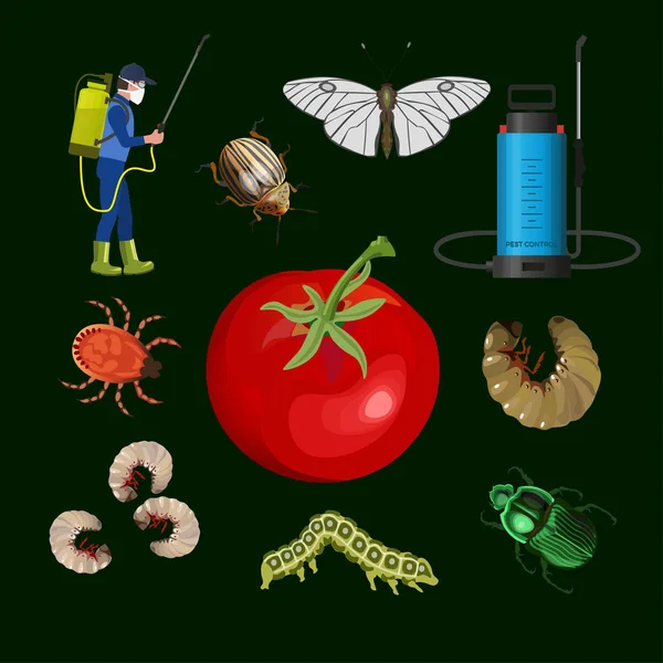Bahçıvan Püskürtme Domates Ile Zararlı Böceklerin Farklı Türlerde Ayarlayın Vektör — Stok Vektör