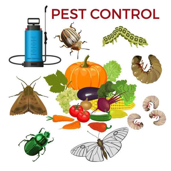 Schädlingsbekämpfungskonzept Mit Insektenschädlingen Gemüse Und Sprühgerät Vektor Illustration Isoliert Auf — Stockvektor