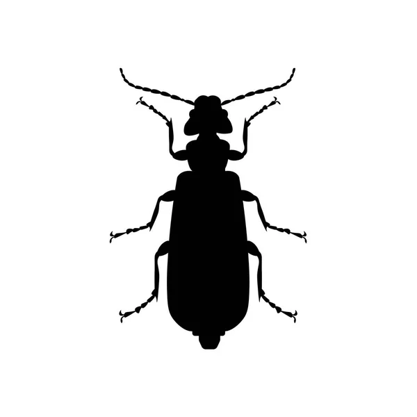 Silhouette Spanish Fly Blister Beetle Vector Illustration Isolated White Background — Stock Vector