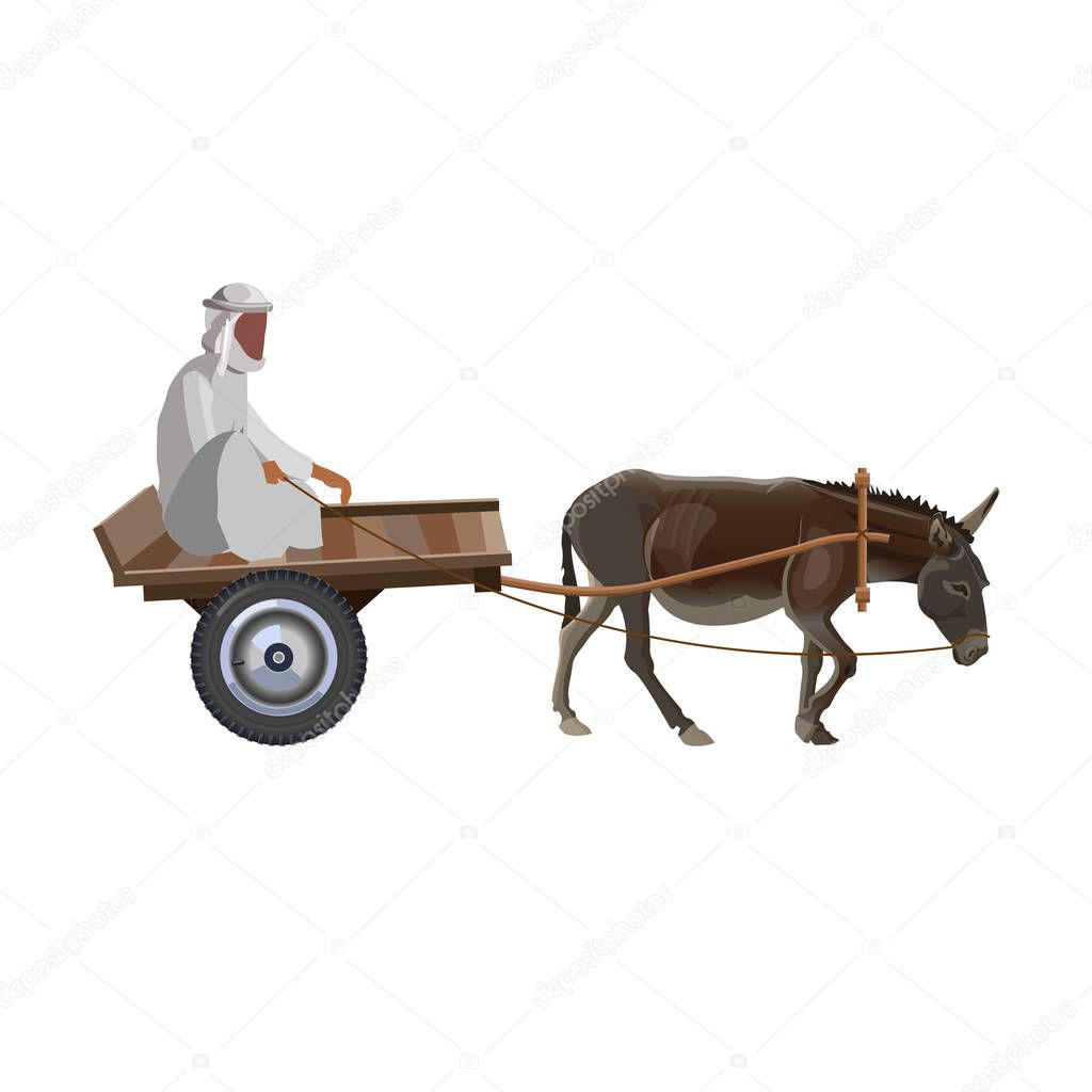 Arab man with donkey cart. Vector illustration isolated on white background