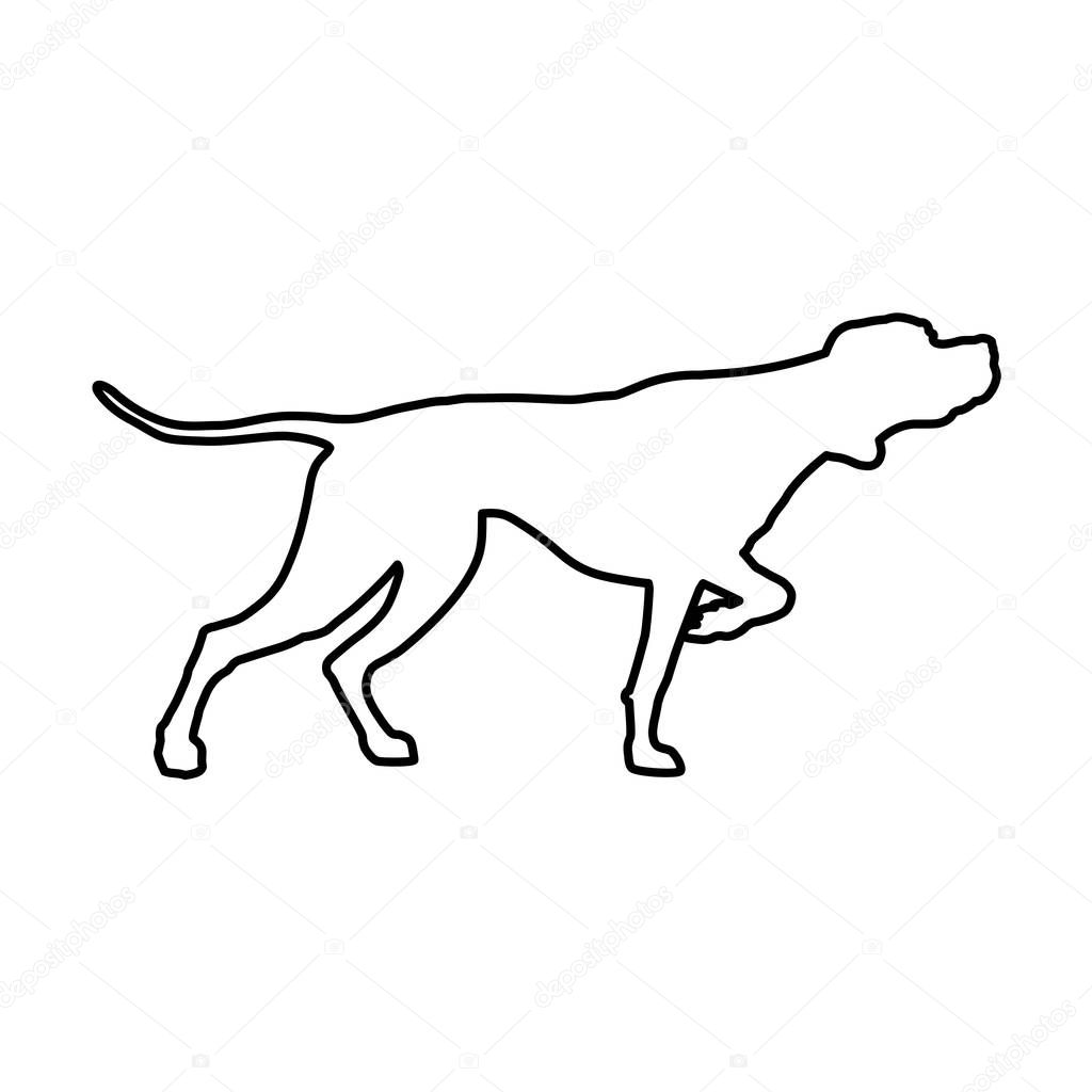 English pointer in line style. Gun dog breed. Vector illustration isolated on the white background