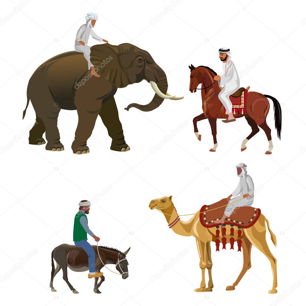 Set of riders on different animals. Vector illustration