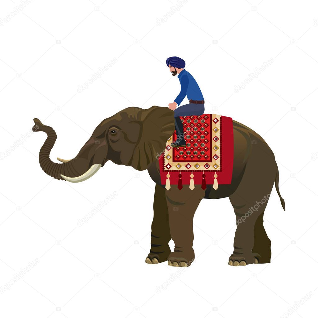 Indian man riding elephant. Vector illustration isolated on white background