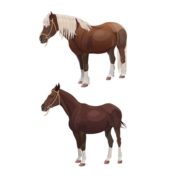 Ιππασία και τα άλογα σχέδιο — Διανυσματικό Αρχείο