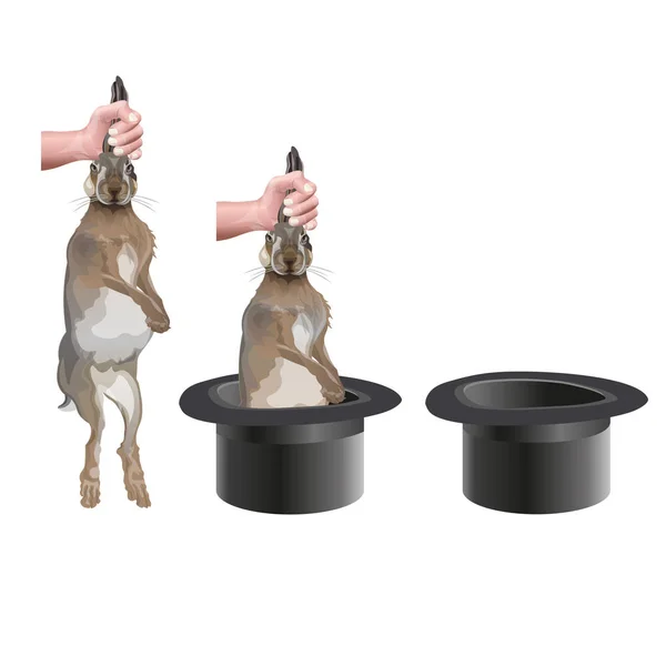 Coniglio che emerge da un cappello — Vettoriale Stock