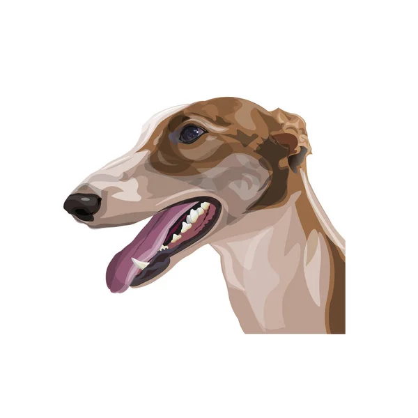 Portrait de chien-chien — Image vectorielle