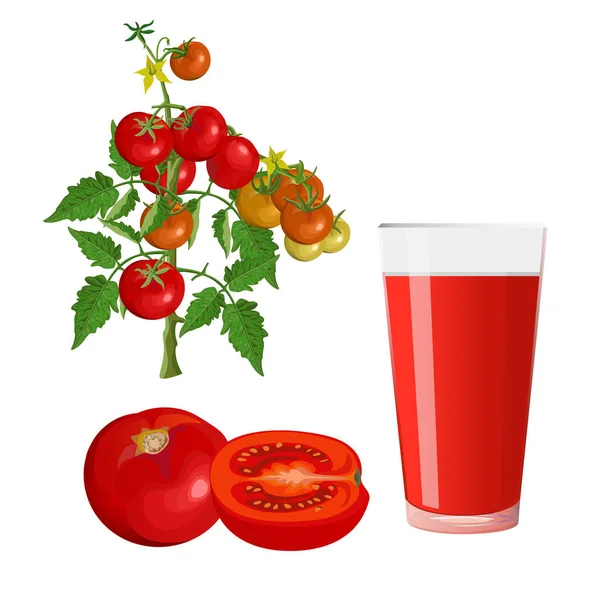 Tomates e copo de suco — Vetor de Stock