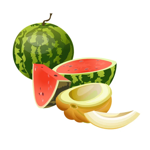 Melone und Wassermelone Vektor — Stockvektor