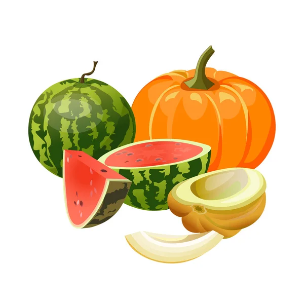 Calabaza, melón y sandía — Vector de stock