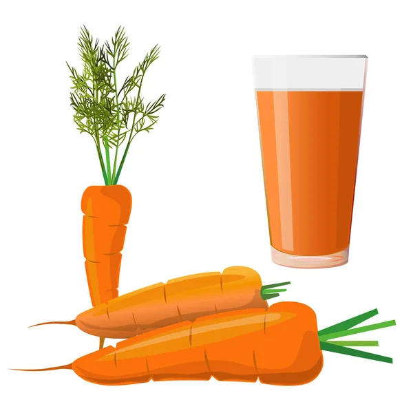 Jus de carotte et carottes fraîches — Image vectorielle