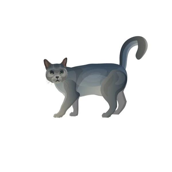 Szary kot z uniesionym ogonem — Wektor stockowy