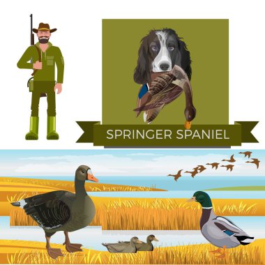 İngiliz sıçramak İspanyol