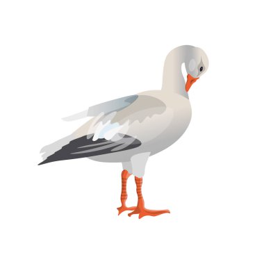 Free Free 147 Snow Goose Svg SVG PNG EPS DXF File