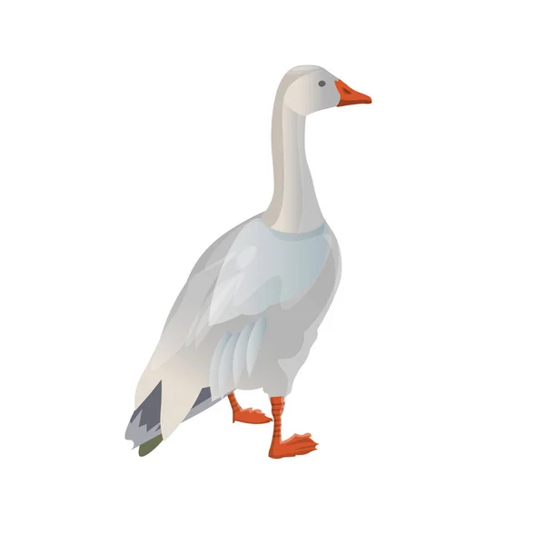 White goose vector — Stock Vector