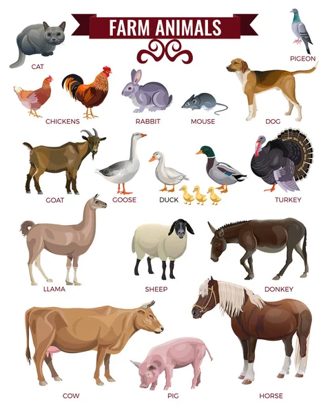 Vector animales de granja — Vector de stock