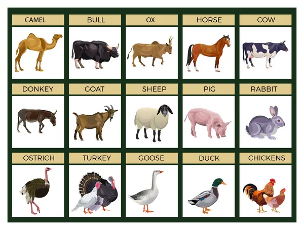 Realistic animals Vector Art Stock Images | Depositphotos Realistic animals Vector Art Stock Images | Depositphotos